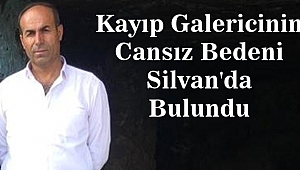 Kayıp Galericinin Cansız Bedeni Silvan'da Bulundu