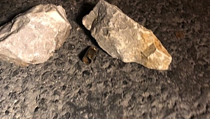 Başkent'te otoyolda kanlı hesaplaşma: 1 ölü 1 yaralı