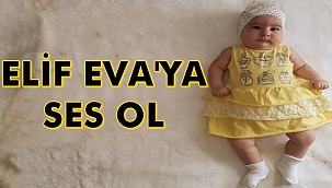 Elif Eva'ya Ses Ol