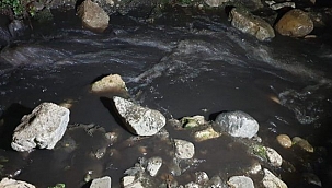 İznik Gölü'ne akan derenin suyu siyaha büründü