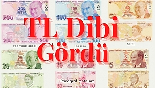 TL Dünyanın En Çok Değer Kaybeden Parası Oldu