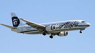 Uçak Ayıya Çarptı