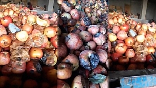 Üreticisi uyardı: Bu çürük elmalar meyve suyu olacak