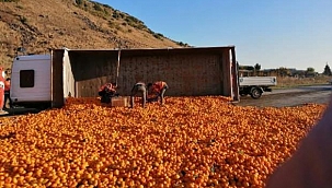 Kamyon devrildi; 15 ton mandalina yola saçıldı