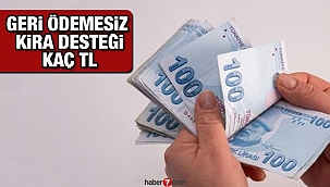 Kira yardımı başvuruları ne zaman başlayacak? Geri ödemesiz kira desteği kaç TL!