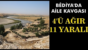 Bediya'da İki Aile Arasında Kavga 4'ü Ağır 11 Yaralı