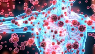 Bu beslenme hataları bağışıklığı zayıflatıyor