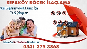 Sefaköy böcek ilaçlama