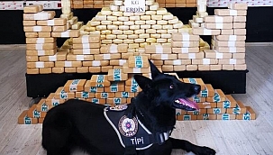 'Tipi' kamyonette yapılan aramada 204 kilo 'eroin' ele geçirildi