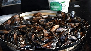 Uzmanlardan midye uyarısı: Yedikten sonra elleriniz titriyorsa...