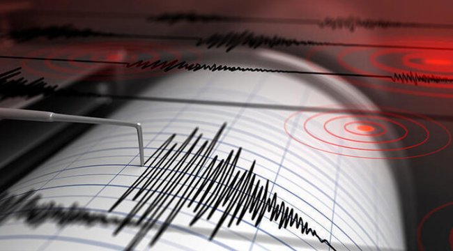 Muğla gece boyu sallandı! Peş peşe 4 deprem