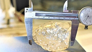 Dünyanın en büyük üçüncü elması bulundu