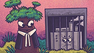 İklim kriziyle mücadelede altı sıradışı ve etkili yöntem