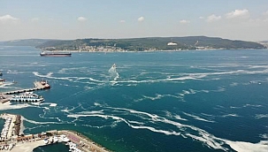 Müsilajın 'panzehiri' bulundu! Anında etkili oldu