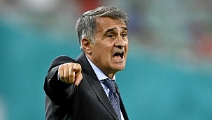 Şenol Güneş'ten istifa yanıtı