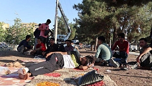 "Afganlar Türkiye'yi Geçiş Güzergahı Olarak Kullanıyor''