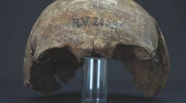 İnsanlık tarihinin en ölümcül salgını! Kara Ölüm'ün izleri bulundu