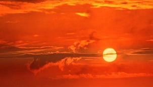 Japonya'da sıcak hava yüzünden 23 kişi hayatını kaybetti