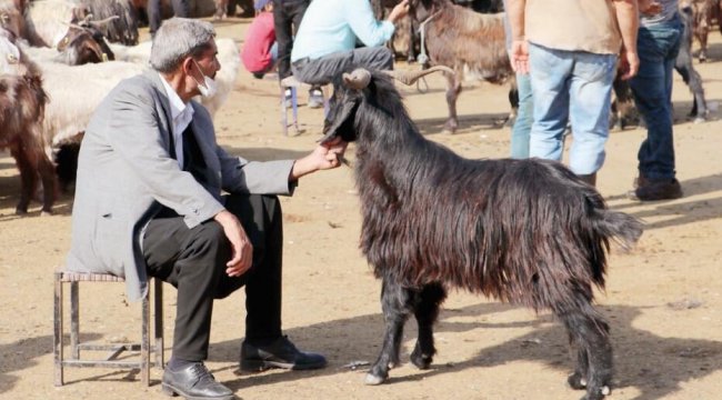 Kurbanlık satışları besicileri sevindirdi