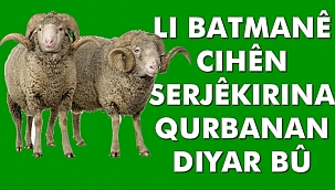 Li Batmanê Cihên Serjekirina Qurbanan Diyar Bû