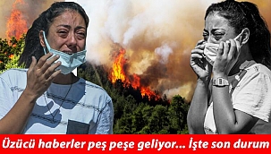 Yangında son durum... Bir kentte daha kâbus başladı! 