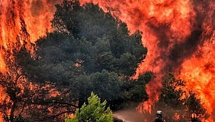 Yunanistan'da yangın söndürme uçağı düştü