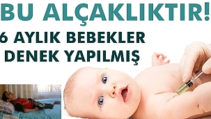 Böyle Alçaklık Olmaz! 6 Aylık Bebekleri Denek Yaptılar