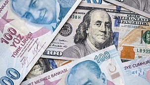 Dolar/TL kuru haftaya rekorla başlayarak 8,90'a dayandı