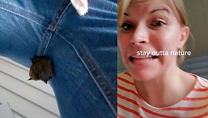 Eve kadar kendisiyle gelmiş! Genç kadın bacakları arasına yapışan yarasayı görünce şok geçirdi