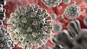 Koronavirüste yeni yan etki: Zihinsel fonksiyonları çok hızlı geriletiyor