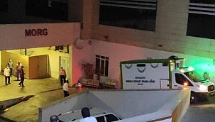 Siirt'te bisikletiyle duvara çarptıktan sonra yere düşen çocuk hayatını kaybetti