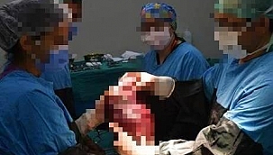 Kargoda kaybolan dalak için şaka gibi ceza