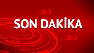 Bulgaristan'da dehşete düşüren trafik kazası! Yolcu otobüsü alev aldı, 46 kişi yanarak öldü