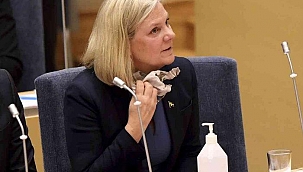 İsveç'in ilk kadın başbakanı göreve geldikten saatler sonra istifa etti