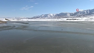 Batman'da gölette 20 santimlik buz tabakası oluştu