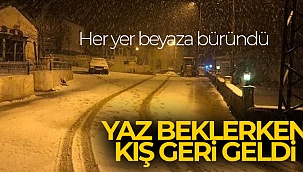 Yaz beklerken kış geri geldi