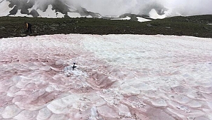 Görenler şaşkınlığı gizleyemedi! Kırmızı kar, bilim insanlarını harekete geçirdi