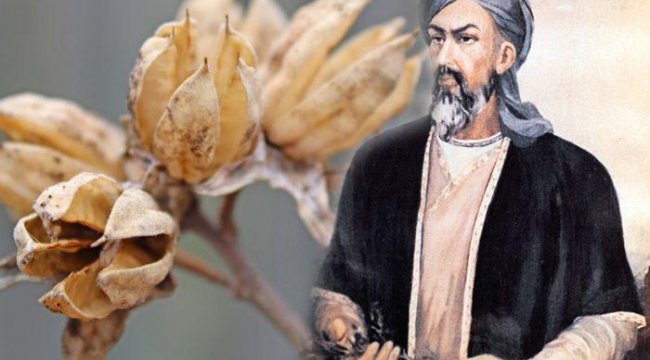 Böbrek taşı sorununu İbn-i Sina reçetesi ile kökten çözün!
