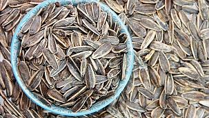 Çekirdek, elma ve pancar... Yarattığı etki inanılmaz! Herkes çekirdek bağımlısı olacak