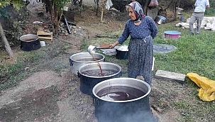 Batman'da hasadı başlayan kara üzüm kaynatılarak pekmeze dönüştürülüyor