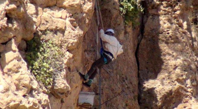Gercüş'te Ölüme meydan okuyup 200 metrelik kayalıklardan "kaya balı" topladı
