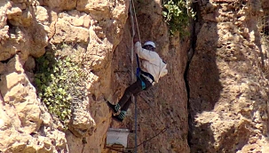 Gercüş'te Ölüme meydan okuyup 200 metrelik kayalıklardan "kaya balı" topladı