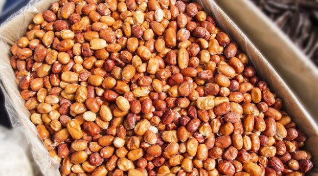 Kemikleri taş gibi yapar, hemoroidi iyileştirir, enfeksiyonu kurutur, eklem ve sırt ağrılarını dindirir