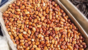 Kemikleri taş gibi yapar, hemoroidi iyileştirir, enfeksiyonu kurutur, eklem ve sırt ağrılarını dindirir