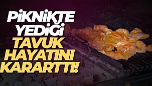 Piknikte tavuk yedi zehirlendi 8 ay yürüyemedi