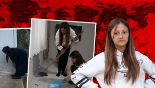 Hakkari'de Böcek İstilası. 'Geceleri korkudan uyuyamıyoruz'