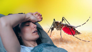 Bu belirtiler varsa hemen hastaneye koşun! 24 saat içinde tedavi edilmeli: Geç müdahale ölüme götürüyor!