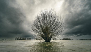 'Avrupa'yı kasıp kavuruyor' Felaket ihtimali 2 kat arttı! 'Varoluşsal bir tehdit'