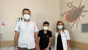 Kene kabusu devam ediyor! Cenaze için gittiği şehirde kene ısırdı: Ölümcül risk taşıyan hastalığa yakalandı...