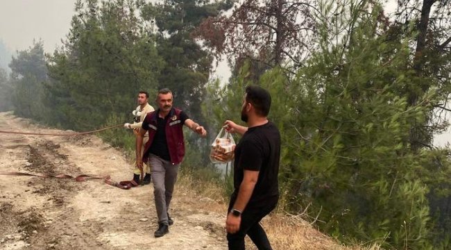 Sakarya'daki orman yangını 2'nci gününde